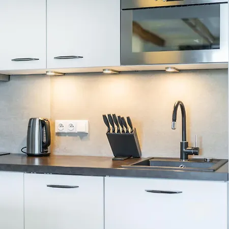 Dvouloznicovy Mezonetovy Se Dvema Koupelnami V Rodinne Apartment Prag